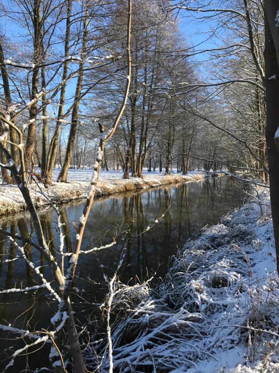 Ferienwohnungen Direkt Am Wasser Burg  Exterior foto